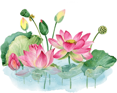 https://cdn-proxy.viding.co/06yKOHFpYx5P-WlP02UpfoBKVIMZVzIWxnlQ6VCr-IU/rs:fit:0:0/f:png/q:65/aHR0cHM6Ly9jZG4tYnVpbGRlci52aWRpbmcuY28vc3RlcHBlci8yODYwOC8xMTQ2MzYvZGJmZmZkYmJmLnBuZw.png