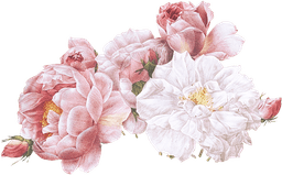 https://cdn-proxy.viding.co/u4TIZ7e2d413m9rCnJEhM9Mc245zQQv1FdmmJPMx-sU/rs:fit:0:0/f:png/q:65/aHR0cHM6Ly9jZG4tYnVpbGRlci52aWRpbmcuY28vMjM4MTYvUm9zZS5wbmc.png